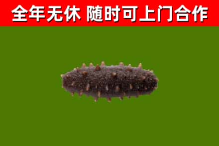 凤城市烟酒回收干海参.jpg